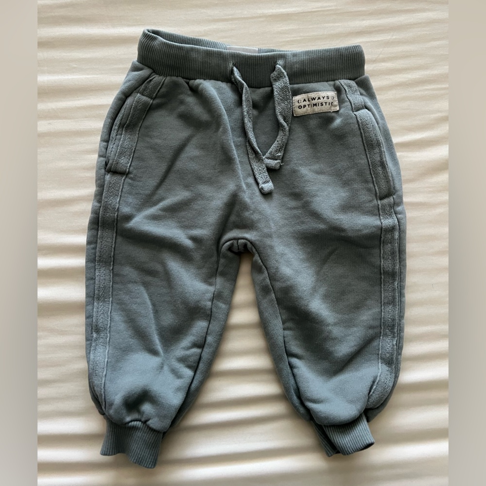 Zara pants